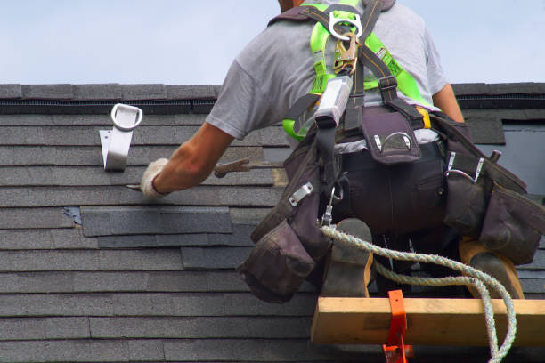 Roof Gutter Cleaning in San Antonio, FL
