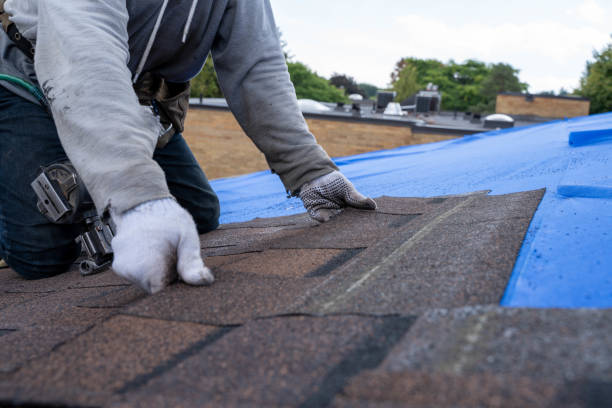 Best Commercial Roof Installation  in San Antonio, FL
